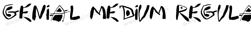 Genial medium regula字体转换